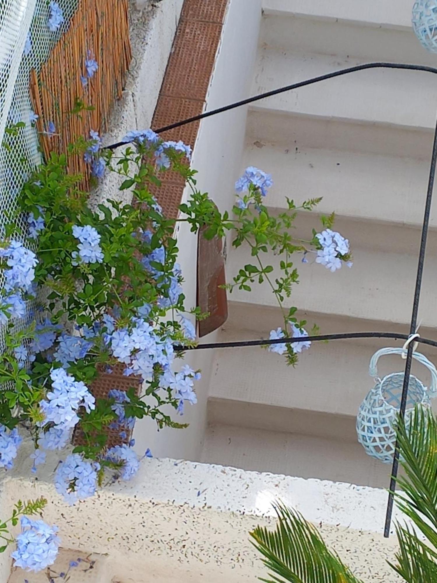Vacanza Nel Salento1 Matino Exteriér fotografie
